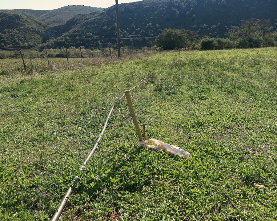 Commercial Property for Sale in George Rural Western Cape
